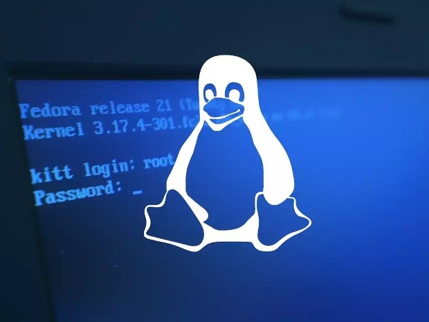 the linux kernel exists as a file named
