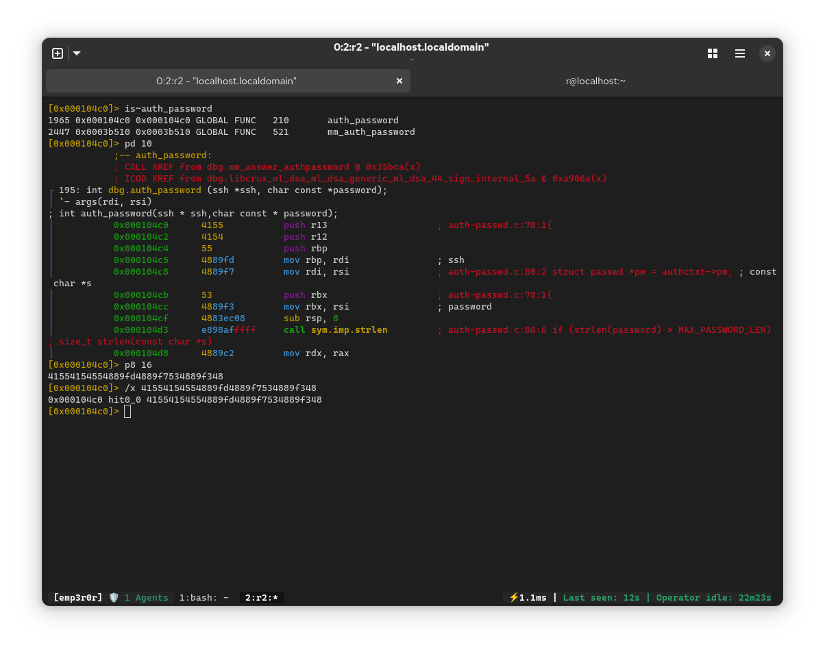 finding auth_password with radare2